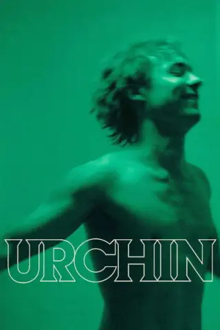 Халамидник