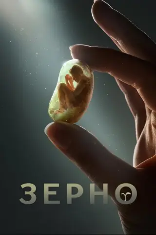 Зерно