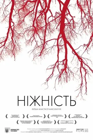 Ніжність