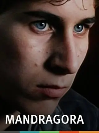 Мандрагора