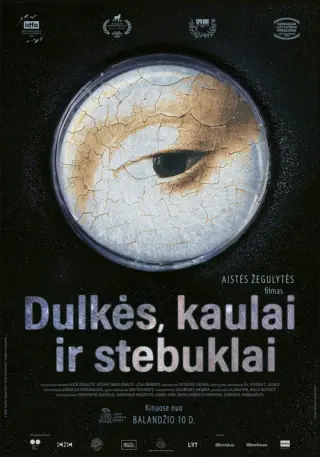 Святі руйнувачі