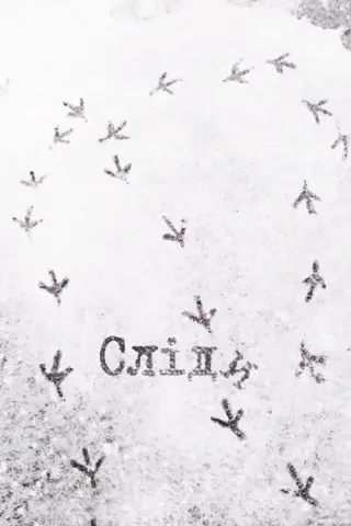 Сліди